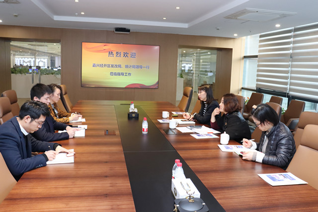 嘉兴市经济开发区发改局局长卢瑛一行莅临公司调研指导工作
